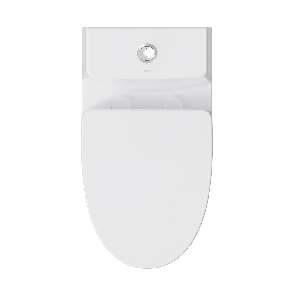 GC0260PT陶瓷坐便器