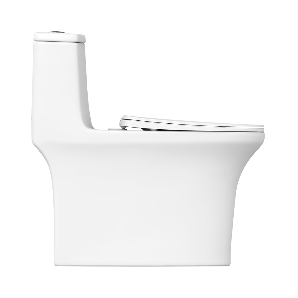 HC0255PT多坑距节水坐便器