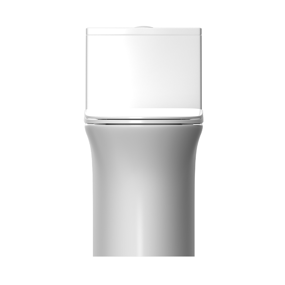 LC0201PT节水坐便器